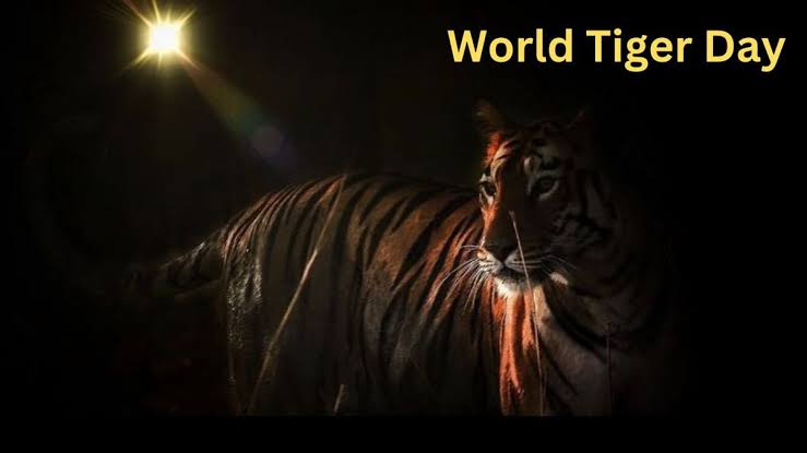 Celebrating Tiger Day: Protecting the Majestic Symbol of Strength